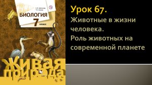 Урок 67. Животные в жизни человека. Роль животных на современной планете