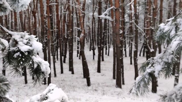 Зимняя сказка в лесу (winter fairy tale in the forest) смотреть онлайн