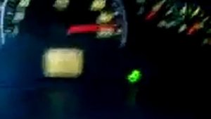 Самое быстрое лошадь в мире