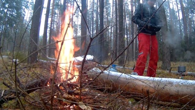 октябрь ПВД 2017 смотреть онлайн