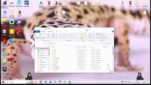 КАК НАСТРОИТЬ SHIMEJI ПУРО ЧТО БЫ ЛАЗАЛ ПО ПРИЛОЖЕНИЯМ     ГАЙД ПО SHIMEJI #shimeji #puro