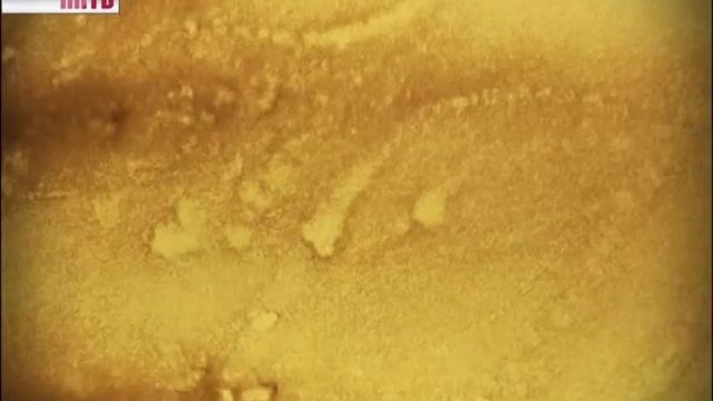 Видеожурнал_Строй_№836 смотреть онлайн