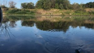 РЫБАЛКА НА ОКЕ. 20 кг ЛЕЩА !!! ЛЕЩ сломал катушку! ЛОВЛЯ ЧЕХОНИ. Ока рязанская область