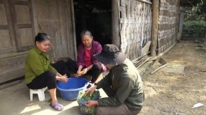 Help mother collect fruit to sell. Harvest corn. Grow vegetable. Robert | Green forest life