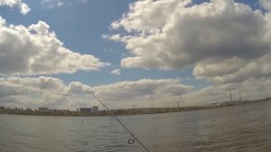 Ловля окуня на каролину это просто!