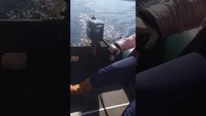 лодка 2.9,с мотором 2.6 toyama.