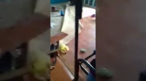 Тюрьмы Казахстана