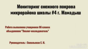 Запольская Е.Н. Мониторинг снежного покрова микрорайона школы №4 г. Мамадыш