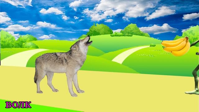 учим животных для самых маленьких на русском - животные для детей картинки - звуки животных 93