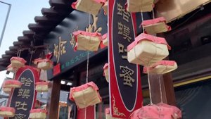 Прогулка по городу Тяньцзинь / Барабанная башня / Гоубули баоцзы / Косичка махуа