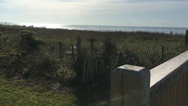 Распаковка с Amazon | Поездка на Атлантический океан | Myrtle Beach #сша Северная Каролина. Я в США смотреть онлайн