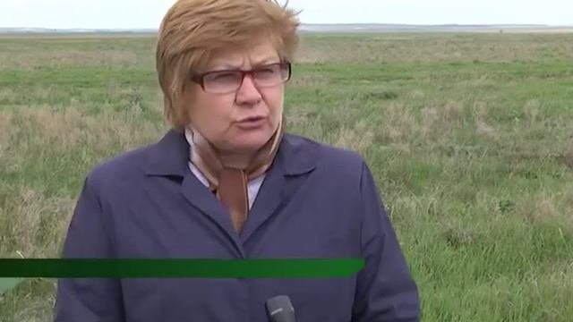 Россельхозцентр: исследования по саранчовым