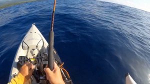 Hawaii Kayak Fishing | Exploring New Grounds and Getting Swarmed by Shibi | Hobie Revolution 13