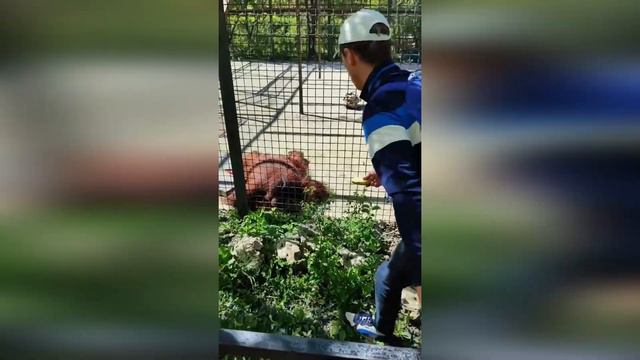 Безопасность по тайгановски! Апрель-май 2023 смотреть онлайн