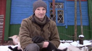 Генетический отбор и селекция в козоводстве