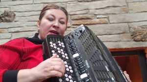 Жил отважный капитан bayan accordion