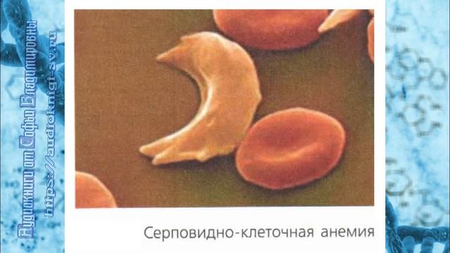 Биология 9 класс Пасечник $23 Методы изучения наследственности человека смотреть онлайн