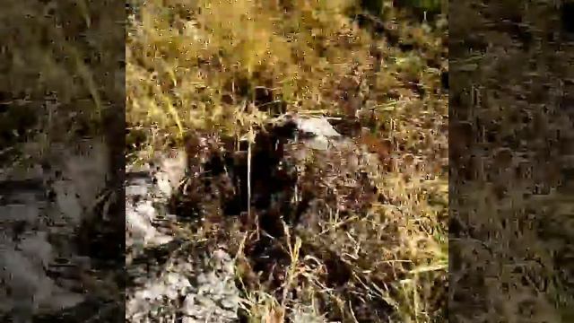 2 день недели Влогов! |День Рождения друга! смотреть онлайн