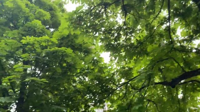 Переезд в Краснодар.Улица Красная/Краснодар /#жизньвкраснодаре #переездвкраснодар #краснодар