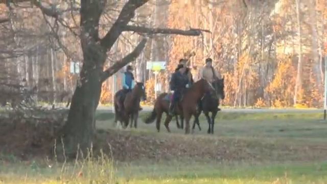 Казаки станицы Спасской смотреть онлайн