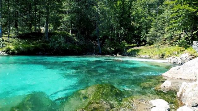 Звуки воды и леса / Видео для релаксации