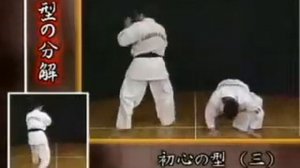 Ashihara Karate Shoshinsha No Kata Sono san