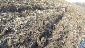 РИМСКИЕ ДЕНАРИИ | КОП | МЕТАЛЛОИСКАТЕЛЬ ФИШЕР 75 | ХП ДЕУС