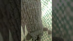 Игрушка - пижамница из Ализе пуффи плюшевой пряжи