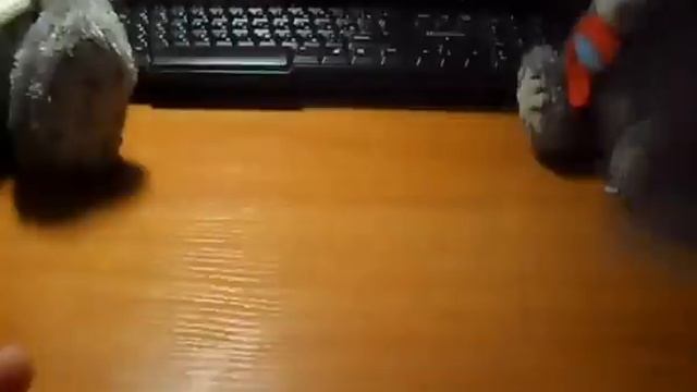 Вышивка крестиком. "Первый отчет по СП "Вышивальные приметы" смотреть онлайн