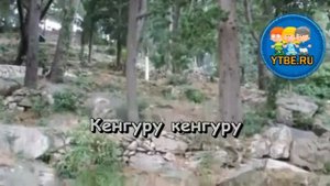 Караоке для детей.  Что такое кенгуру Из кинофильма Пеппи Длинный Чулок. Детские песни