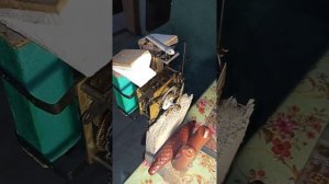 Механизм часов с кукушкой и боем