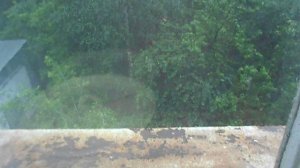 20.06.2024 дождь с градом и сильным ветром в Москве DSCN5534