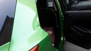 Путешествуем с собакой в автомобиле.