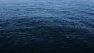 Море, ты слышишь море. Исп. Даниил Кузема