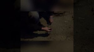 Что будет если к сети 220 вольт подключить лампочку 12в от ваза и газоразрядную ксенона!