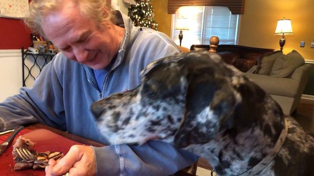 Sirius celebrates Maple Syrup Day! смотреть онлайн