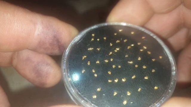 Золото Аляски Юникон. смотреть онлайн