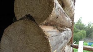 продольный паз на разрезе