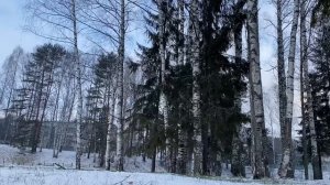 НАГЛЫЕ РОДСТВЕННИЧКИ... | Истории из жизни.