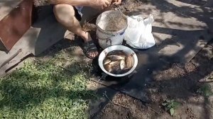 Свинья 7 день после отлучки поросят не приходит в охоту, сделаю небольшой стресс. VIAGRA для свиньи