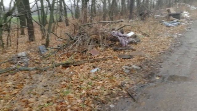 С КРЫСАМИ НА СВАЛКЕ! НАХОДКИ ДЛЯ НОРЫ смотреть онлайн