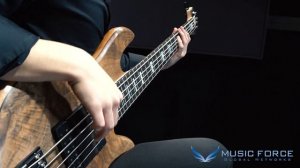 Fodera Custom Emperor Deluxe 5 Bass Demo - 'Untamed' by Bassist ‘김동민’ (Dongmin Kim)