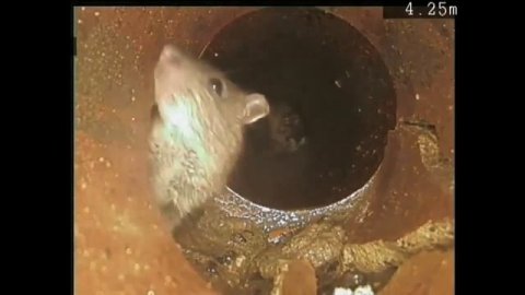 Телеинспекция канализационных труб