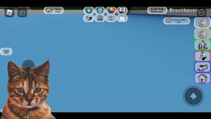 ВЕРТОЛЁТ В BROOKHAVEN RP? Секреты, фишки в режиме Brookhaven RP!