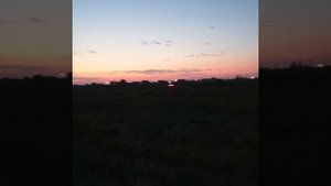 3 пары pride solo 300