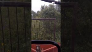 Notill Очистка полей от деревьев и кустарника .Поле  2