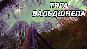 Открытие охоты на ВАЛЬДШНЕПА 2023