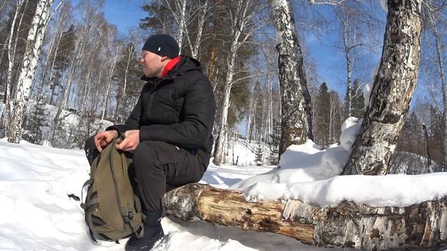 Первый поход щенка ХАСКИ в лес | первый раз видит снег | #хаски смотреть онлайн