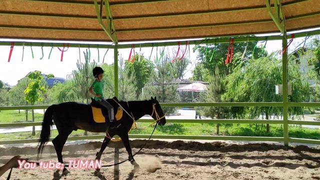 Дети и Лошади.Конный клуб,Сира-Дин, Чечня. смотреть онлайн