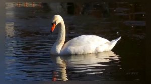 КАК ЗАГОВАРИВАТЬ НА ВОДУ